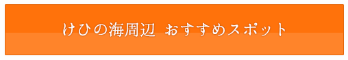 けひの海周辺 おすすめスポット